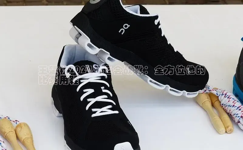 米兰官网首页登录入口百度网盘王楚钦2024奥运会战靴：全方位他的
比赛用鞋