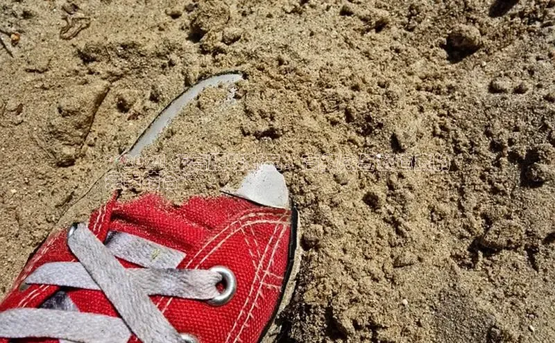 米兰官方网站直接进入观星盘**2024 年高跟鞋新品：高级感与舒适度的
完美结合**