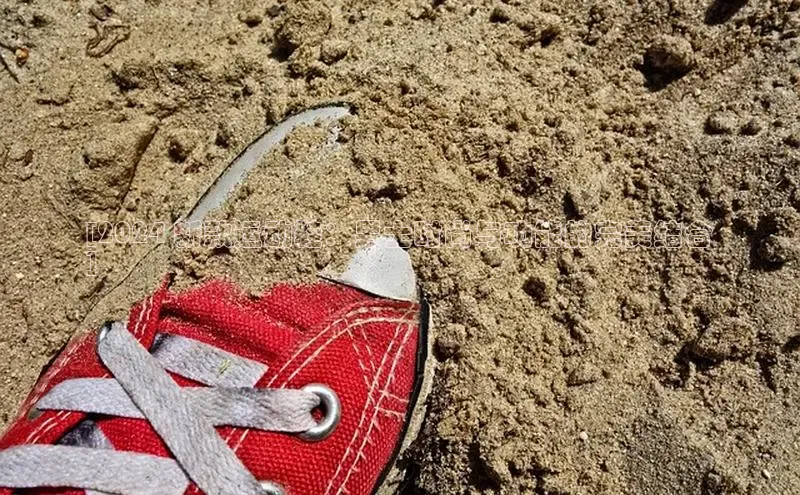 米兰体育彩票神思电子[2024 新款运动鞋：男士时尚与功能的完美结合
]