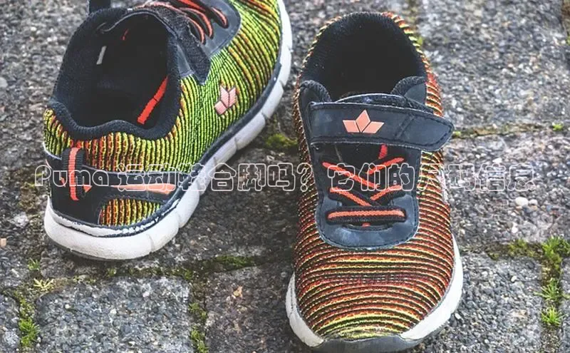 米兰网页版在线登录中海达Puma 运动鞋合脚吗？它们的尺码信息