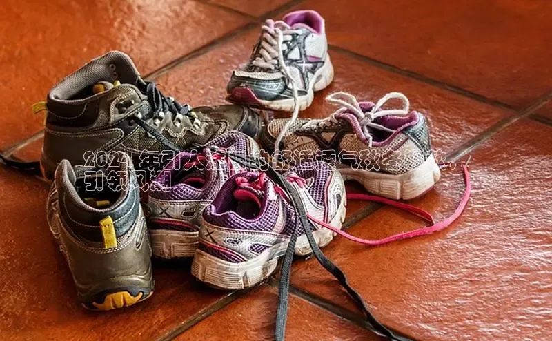 米兰app官方入口下载中文在线2024 年引人注目的舒适透气秋冬鞋款，
引领风潮