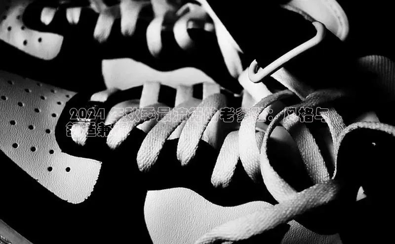 米兰·体育官方网站彩讯股份 2024 年秋季最流行的老爹鞋：风格与
舒适兼得