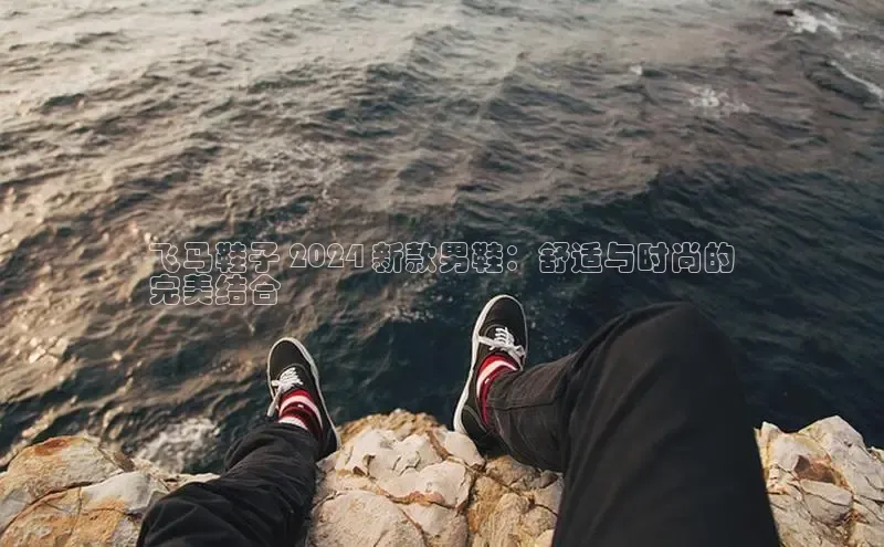米兰官方网站直接进入路畅科技飞马鞋子 2024 新款男鞋：舒适与时尚的
完美结合
