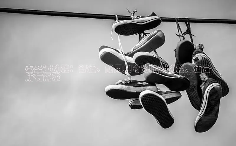 米兰网页版在线登录中海达秦圣运动鞋：舒适、耐用且时尚的运动鞋，适合
所有需求