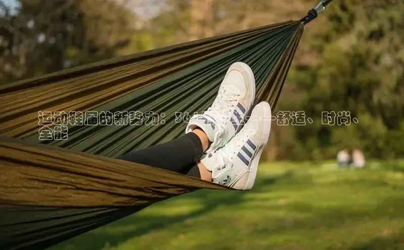 米兰app官网登录京东运动鞋届的新势力：361的花生——舒适、时尚、
全能