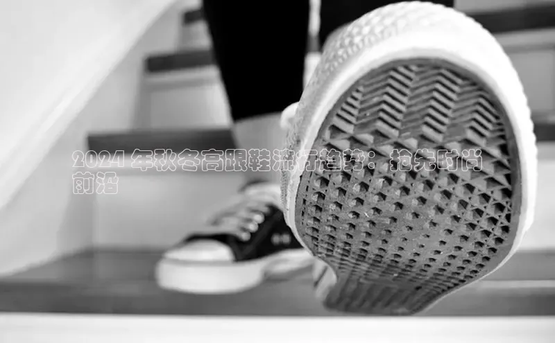 米兰体育58同城2024 年秋冬高跟鞋流行趋势：抢先时尚
前沿