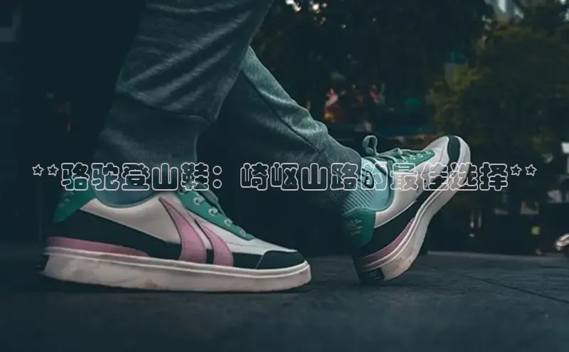 米兰体育app手机下载金山办公**骆驼登山鞋：崎岖山路的最佳选择**