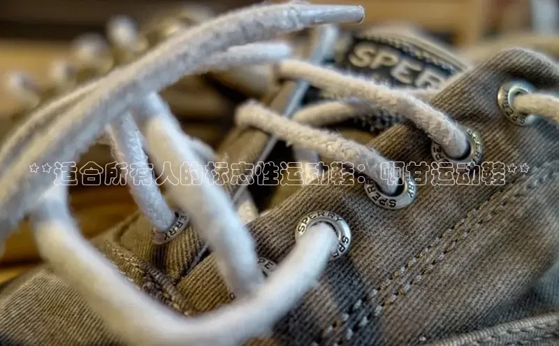 米兰体育全站轻美电器**适合所有人的标志性运动鞋：啊甘运动鞋**