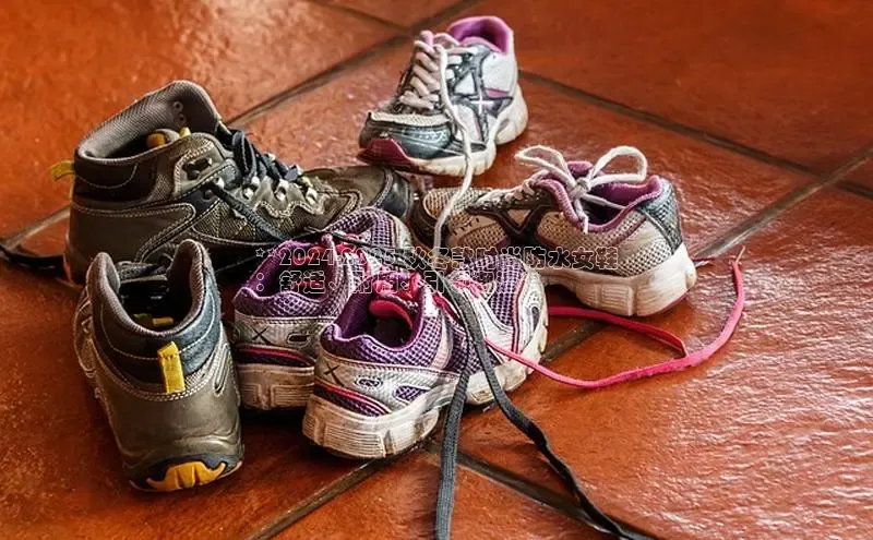 米兰app官方入口下载中文在线**2024-2025 秋冬款时尚防水女鞋
：舒适、耐用、引领潮流**