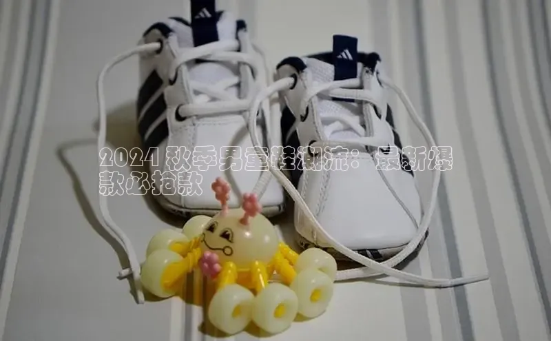 米兰官网首页登录入口百度Apollo2024 秋季男童鞋潮流：最新爆
款必抢款