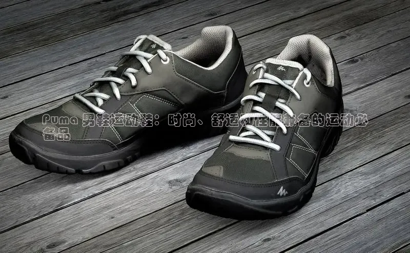 米兰app·体育登录入口百度技术学院Puma 男鞋运动鞋：时尚、舒适和性能兼备的运动必
备品