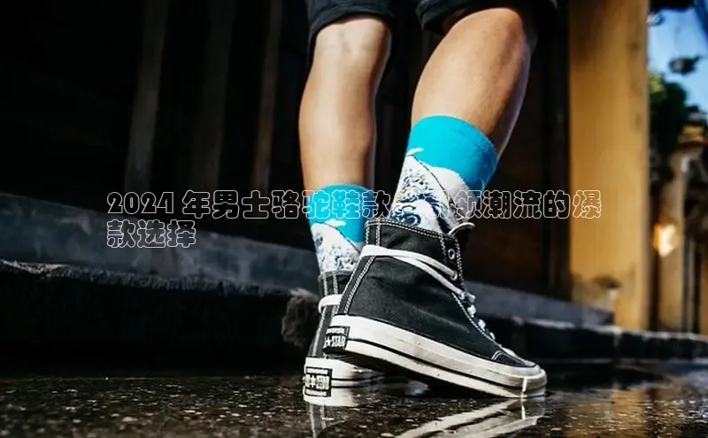 米兰·全站app登录app梯哥哥科技2024 年男士骆驼鞋款：引领潮流的爆
款选择