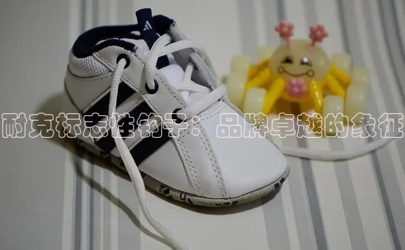 米兰体育全站app官网百度数据开放平台耐克标志性钩子：品牌卓越的象征