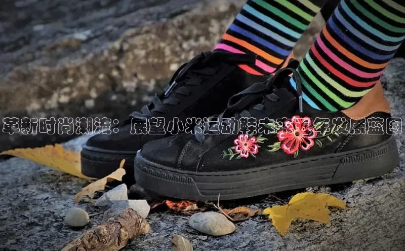 革新时尚潮流：展望小米运动鞋未来五年发展蓝图
