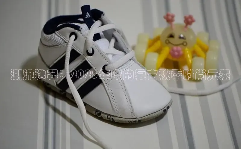 潮流迭起：2025年度的复古秋季时尚元素