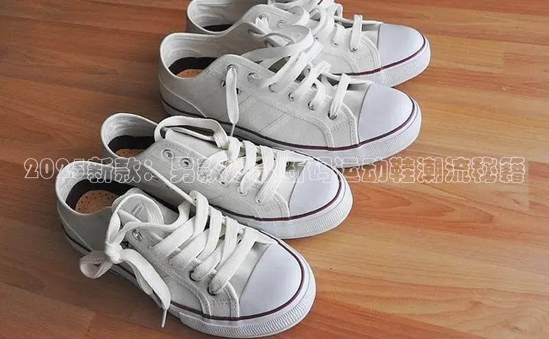 米兰app官网下载安装