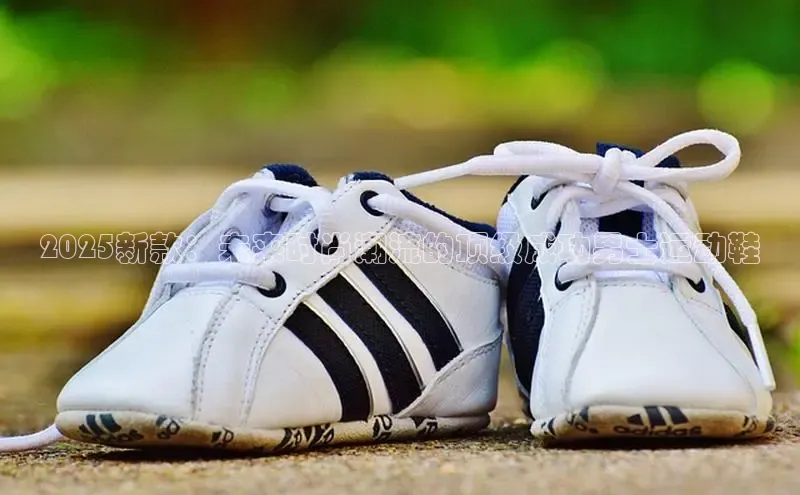 米兰体育官方APP下载